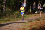 Ironman091025030111_small.jpg (3857 Byte)