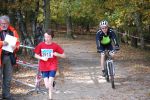 Ironman091025030306_small.jpg (3946 Byte)