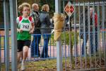 Molenven091115010040_small.jpg (3932 Byte)