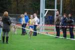 Molenven091115010065_small.jpg (3698 Byte)