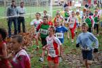 Molenven091115010198_small.jpg (3946 Byte)