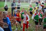 Molenven091115010100_small.jpg (3932 Byte)