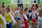 Molenven091115010201_small.jpg (3698 Byte)