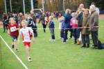 Molenven091115010220_small.jpg (3932 Byte)