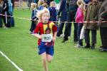 Molenven091115010236_small.jpg (3932 Byte)