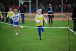 Molenven091115010251_small.jpg (3857 Byte)