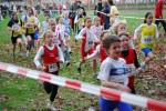 Molenven091115010345_small.jpg (3698 Byte)