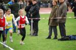 Molenven091115010369_small.jpg (3698 Byte)