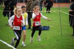 Molenven091115010371_small.jpg (3857 Byte)