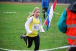 Molenven091115020042_small.jpg (3946 Byte)