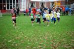 Molenven091115020080_small.jpg (3932 Byte)