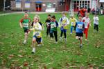 Molenven091115020083_small.jpg (3857 Byte)