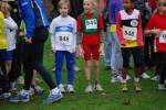 Molenven091115020149_small.jpg (3698 Byte)