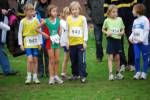 Molenven091115020152_small.jpg (3932 Byte)