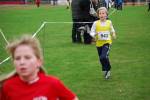 Molenven091115020202_small.jpg (3946 Byte)