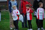 Molenven091115020240_small.jpg (3932 Byte)