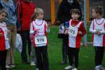 Molenven091115020243_small.jpg (3857 Byte)