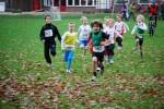 Molenven091115020251_small.jpg (3857 Byte)