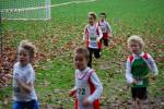 Molenven091115020256_small.jpg (3932 Byte)