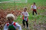 Molenven091115020257_small.jpg (3698 Byte)