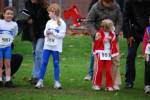 Molenven091115020302_small.jpg (3946 Byte)