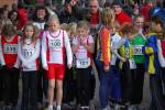 Deurne091213010135_small.jpg (3857 Byte)