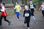 Deurne091213010158_small.jpg (3946 Byte)