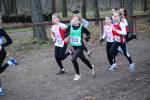 Deurne091213010161_small.jpg (3698 Byte)