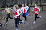 Deurne091213010162_small.jpg (3946 Byte)