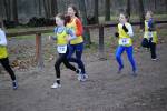 Deurne091213010163_small.jpg (3857 Byte)