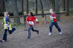 Deurne091213010164_small.jpg (3932 Byte)