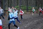 Deurne091213010167_small.jpg (3857 Byte)