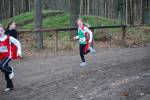 Deurne091213010170_small.jpg (3946 Byte)