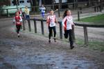 Deurne091213010217_small.jpg (3698 Byte)