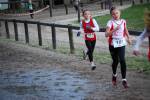 Deurne091213010220_small.jpg (3932 Byte)