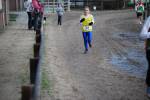 Deurne091213010272_small.jpg (3932 Byte)