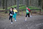 Deurne091213010291_small.jpg (3857 Byte)