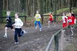 Deurne091213010294_small.jpg (3946 Byte)