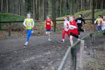 Deurne091213010295_small.jpg (3857 Byte)