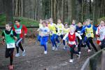 Deurne091213010299_small.jpg (3857 Byte)