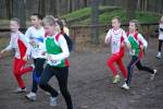 Deurne091213010302_small.jpg (3946 Byte)