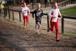 Deurne091213010343_small.jpg (3857 Byte)