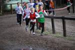 Deurne091213010355_small.jpg (3857 Byte)