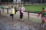 Deurne091213010380_small.jpg (3932 Byte)