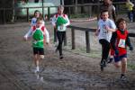 Deurne091213010394_small.jpg (3946 Byte)