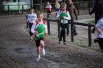 Deurne091213010396_small.jpg (3932 Byte)