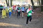 Deurne091213020044_small.jpg (3932 Byte)