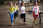 Deurne091213020097_small.jpg (3698 Byte)