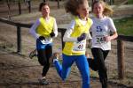 Deurne091213020099_small.jpg (3857 Byte)