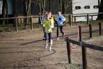 Deurne091213020147_small.jpg (3857 Byte)